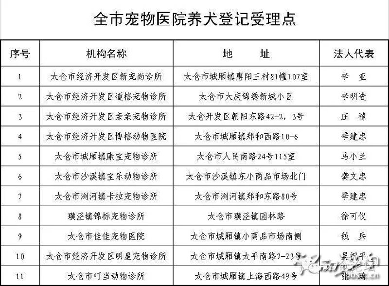 2021年,宁波猫咪宠物群体如何健康成长?宁波喵叔宠物医院为您揭示!