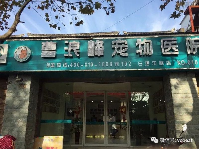 故事的开始,总是那么平凡。在宁波的一隅,有一间小小的宠物医院,名字叫做“喵叔宠物医院”。而这个“喵叔”背后,有着怎样的传奇呢?让我们一起走进这家医院,揭开它的神秘面纱。